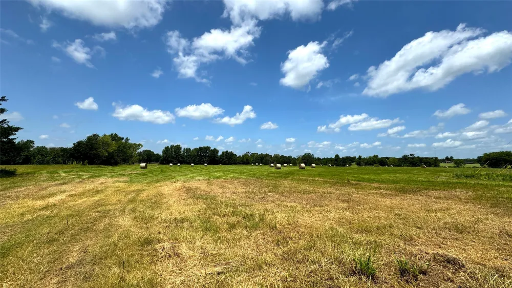 13530 FM 773 Ben Wheeler, TX 75754
