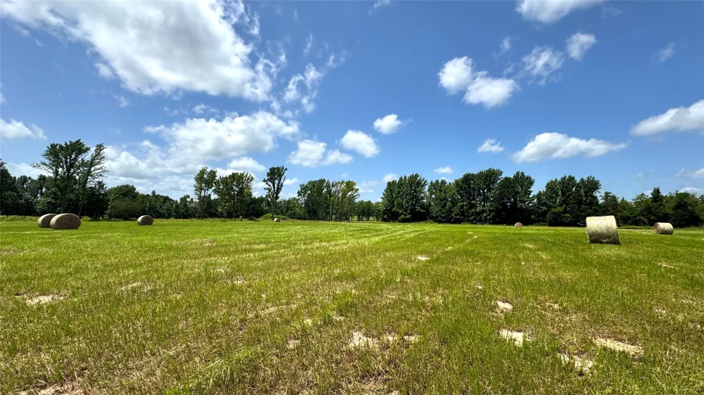 13530 FM 773 Ben Wheeler, TX 75754