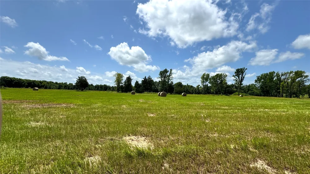 13530 FM 773 Ben Wheeler, TX 75754