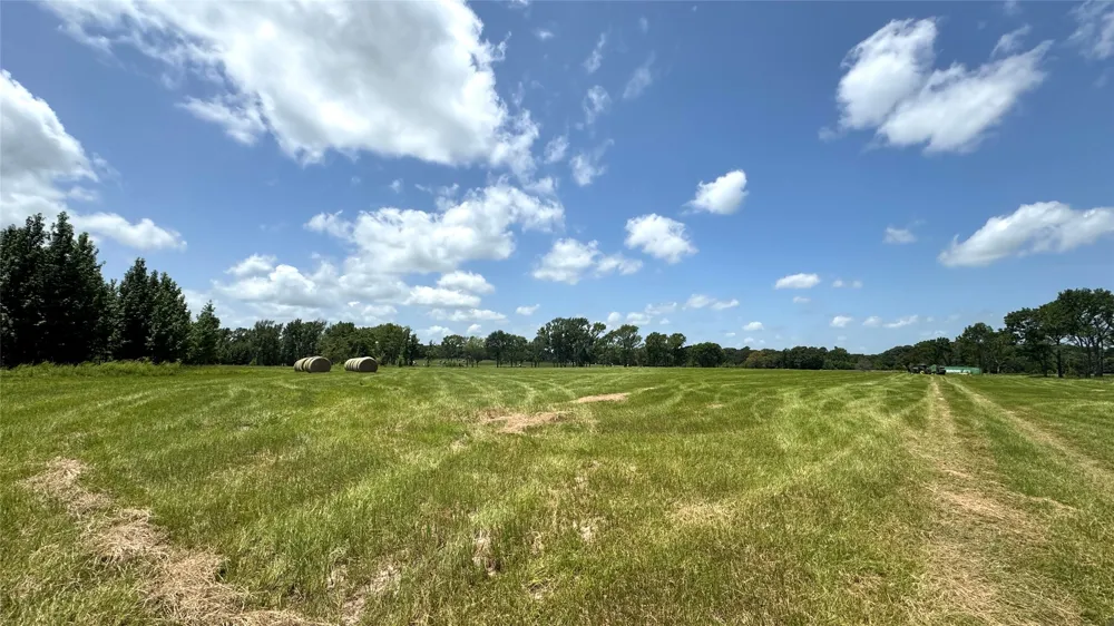 13530 FM 773 Ben Wheeler, TX 75754
