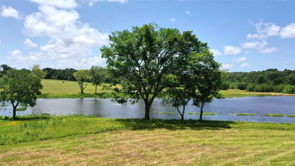 13530 FM 773 Ben Wheeler, TX 75754
