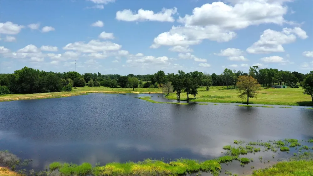 13530 FM 773 Ben Wheeler, TX 75754