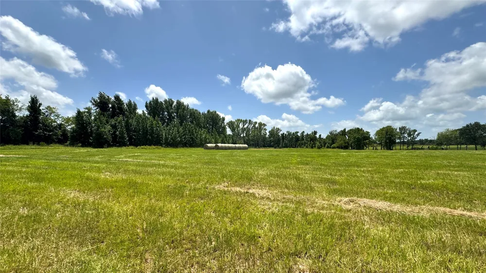 13530 FM 773 Ben Wheeler, TX 75754