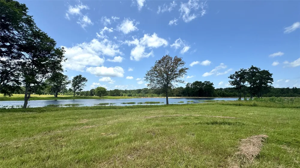 13530 FM 773 Ben Wheeler, TX 75754