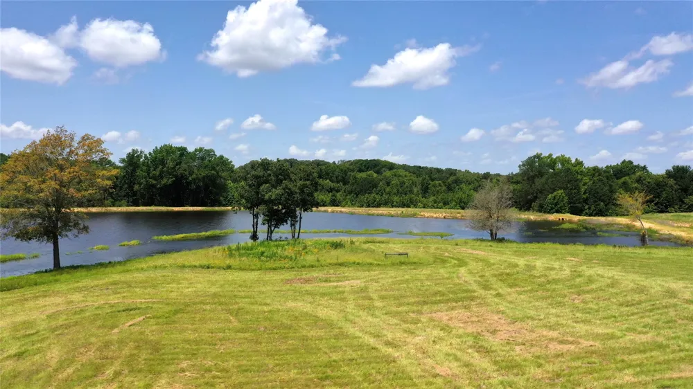 13530 FM 773 Ben Wheeler, TX 75754
