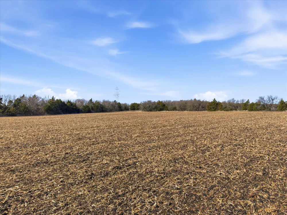 County Road 643 Nevada, TX 75173
