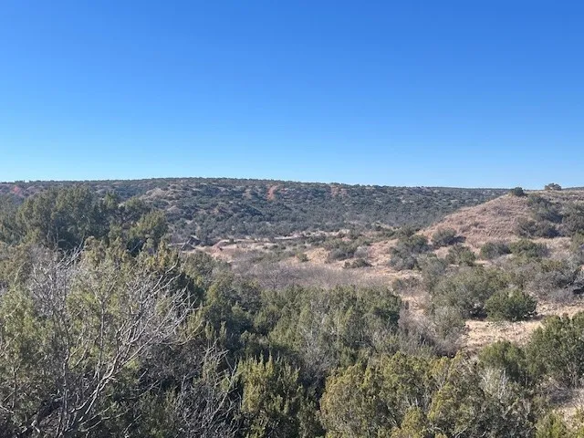 99999 Highway 70 Turkey, TX 79261