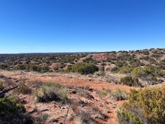 99999 Highway 70 Turkey, TX 79261