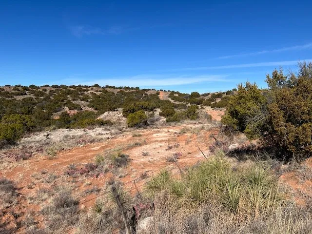 99999 Highway 70 Turkey, TX 79261