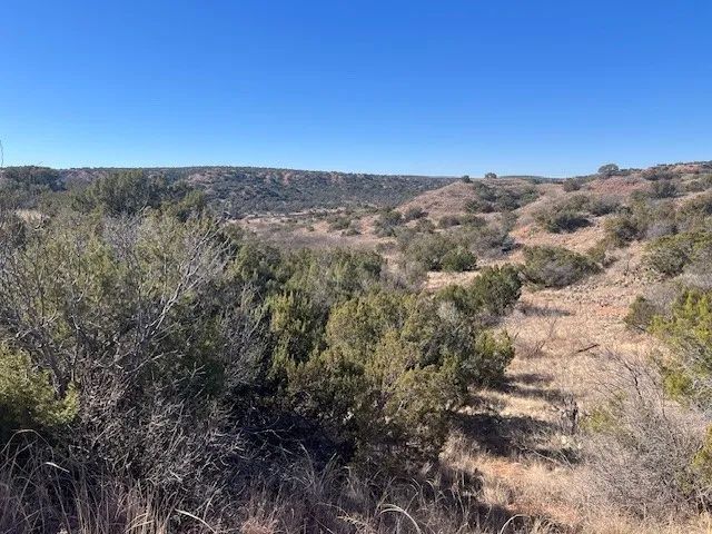99999 Highway 70 Turkey, TX 79261