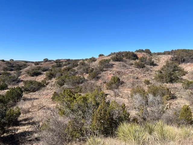 99999 Highway 70 Turkey, TX 79261