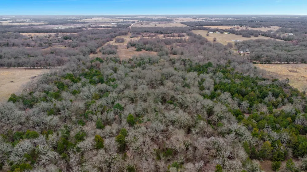 Co Rd 343 Kaufman, TX 75142
