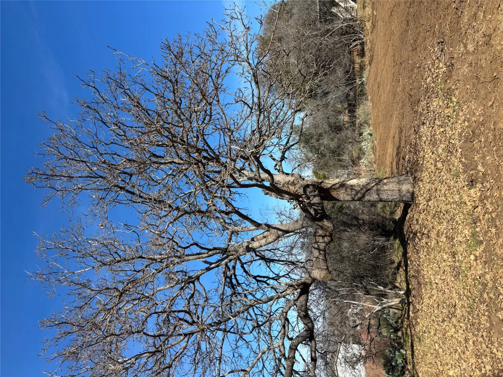 Castleshoals Drive Granite Shoals, TX 78654
