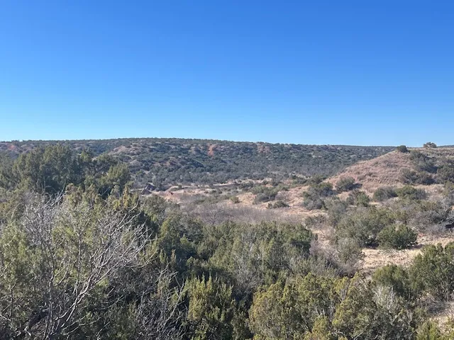 99999 US 70 Highway Turkey, TX 79261