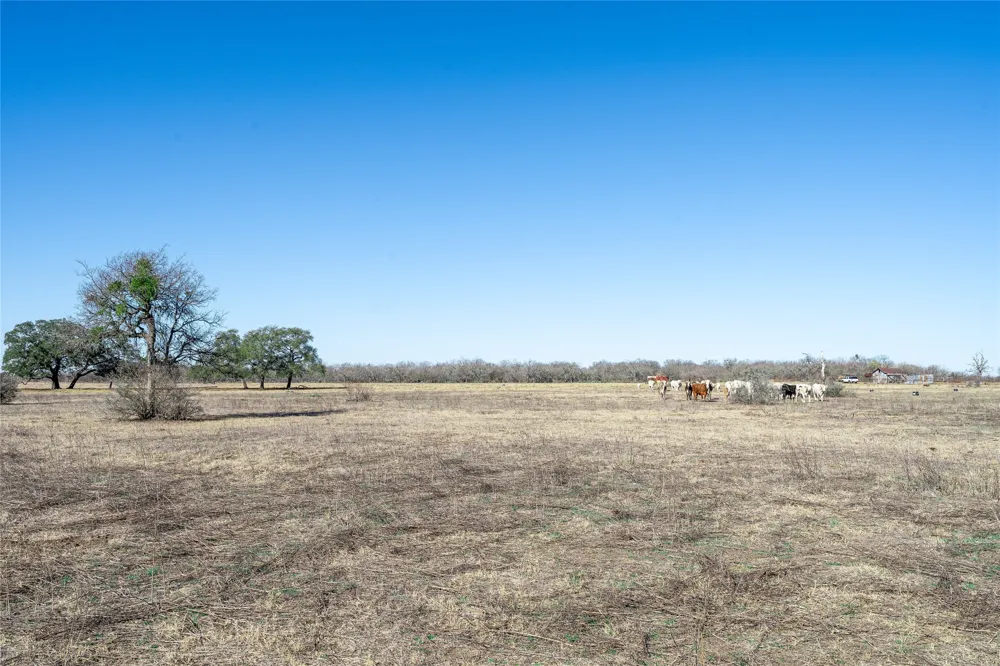 Richards Drive Del Valle, TX 78617