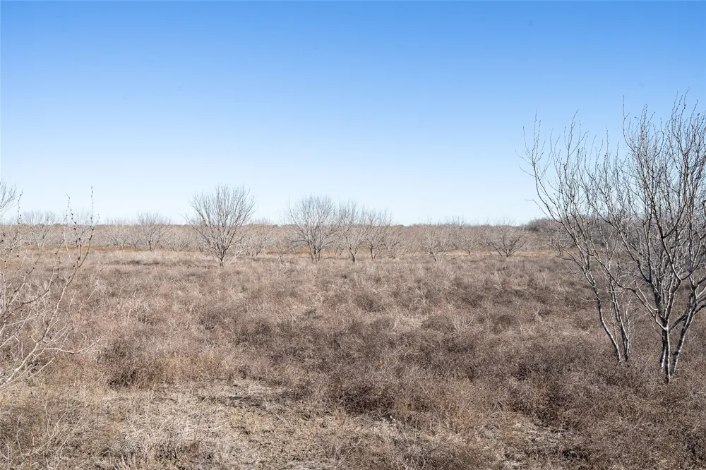 Richards Drive Del Valle, TX 78617