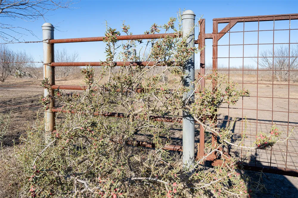 Richards Drive Del Valle, TX 78617