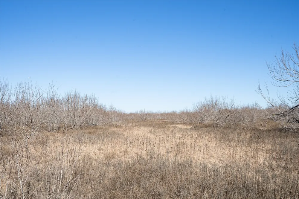 Richards Drive Del Valle, TX 78617