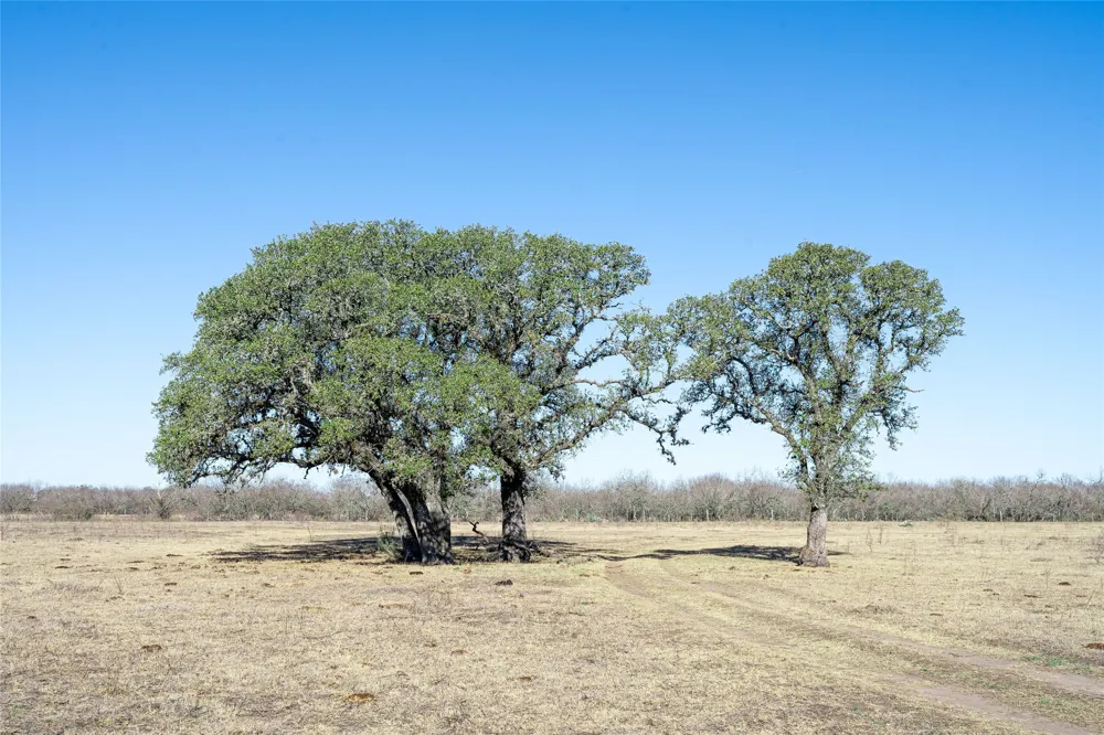 Richards Drive Del Valle, TX 78617