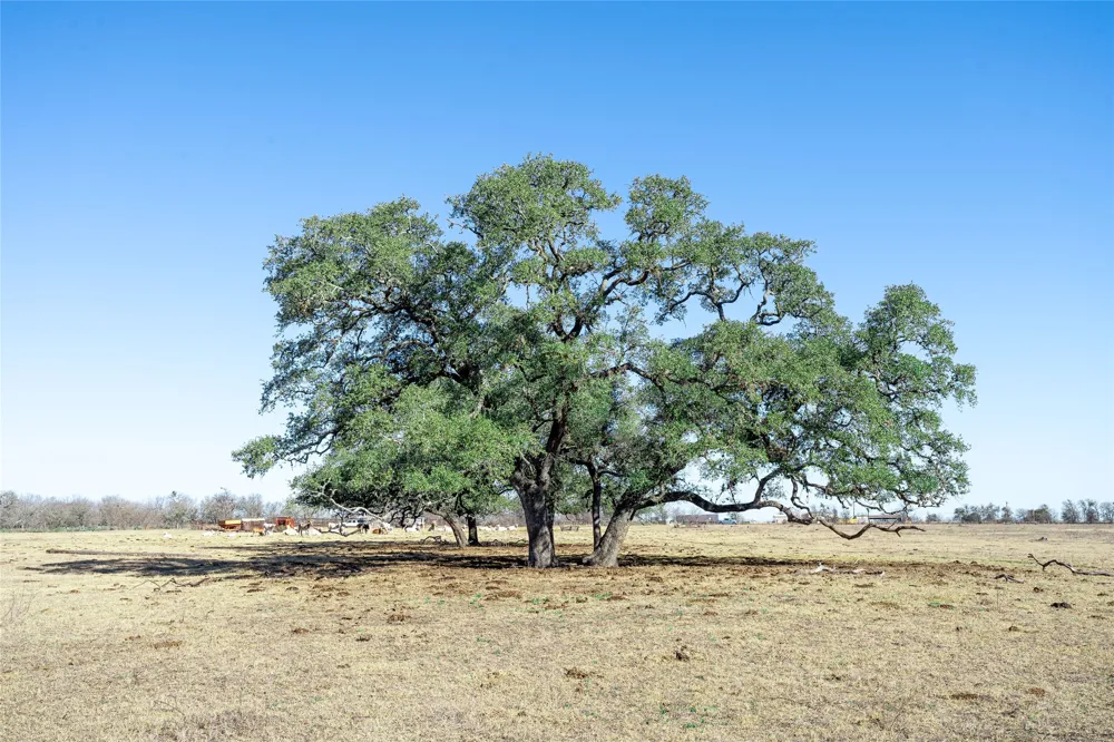 Richards Drive Del Valle, TX 78617