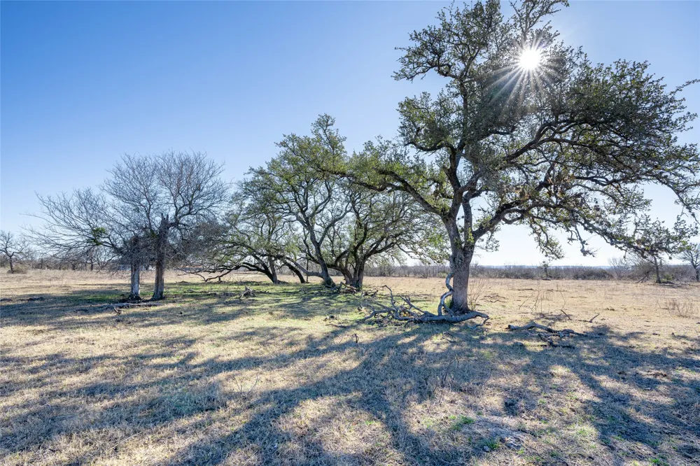 Richards Drive Del Valle, TX 78617