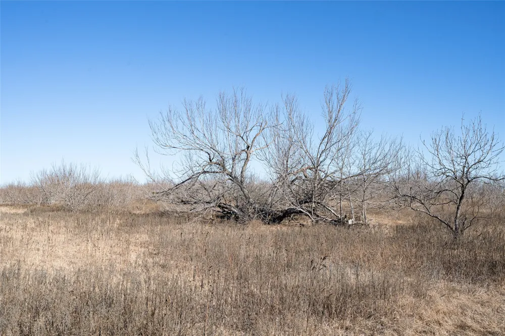 Richards Drive Del Valle, TX 78617