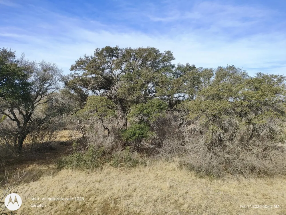 567 County Road 241 Rochelle, TX 76872