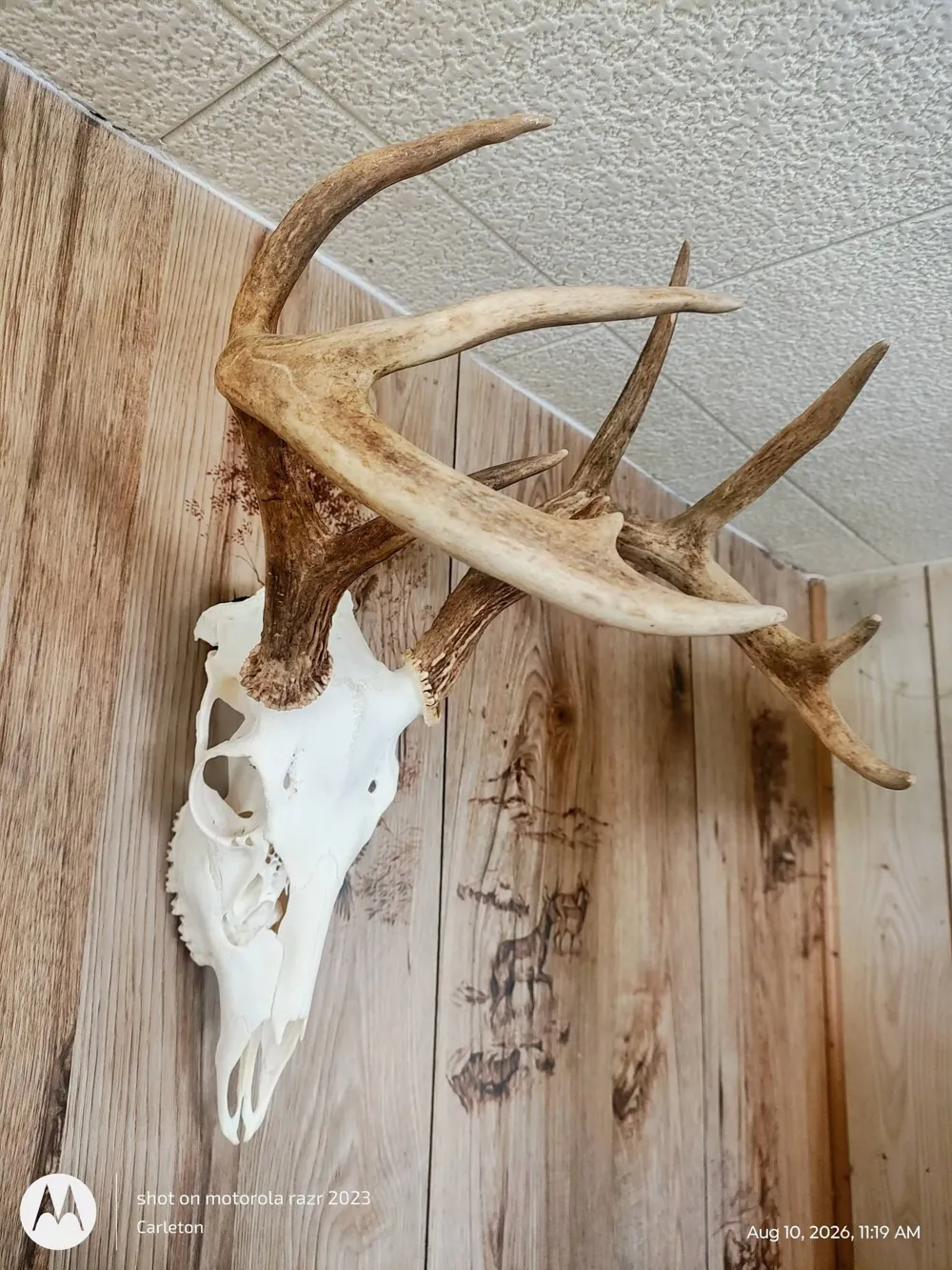 567 County Road 241 Rochelle, TX 76872