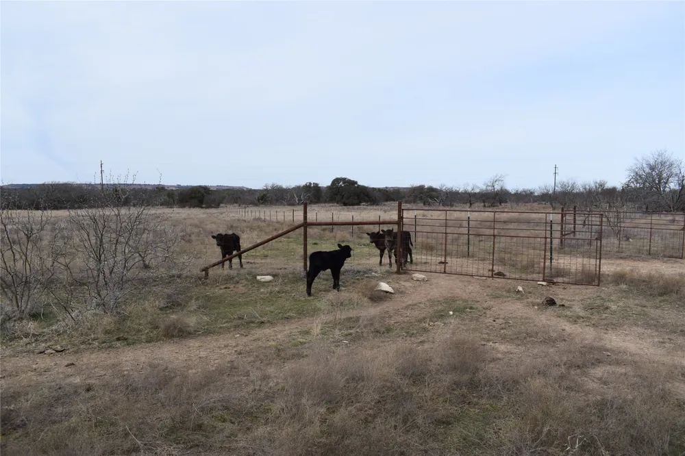 3619 N FM 1702 Hamilton, TX 76531