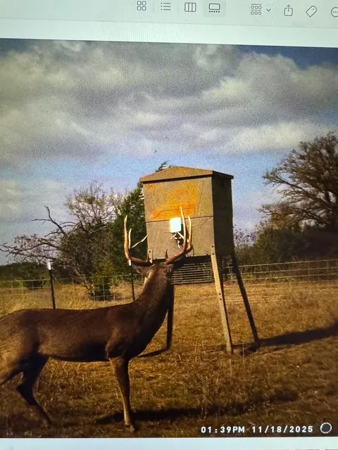 County Road 2699 Goldthwaite, TX 76853