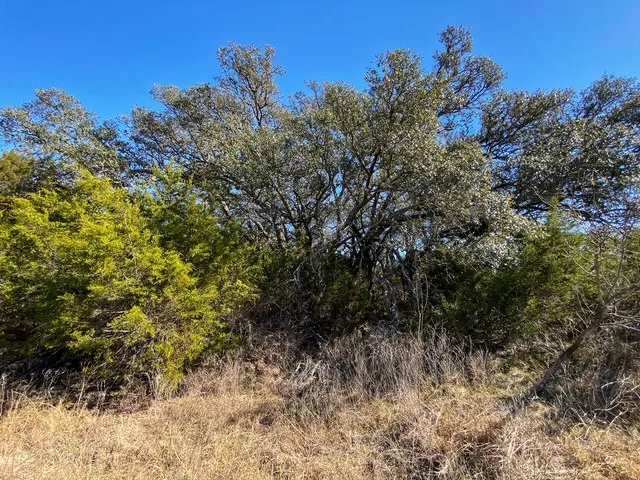 County Road 2699 Goldthwaite, TX 76853