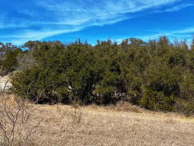 County Road 2699 Goldthwaite, TX 76853