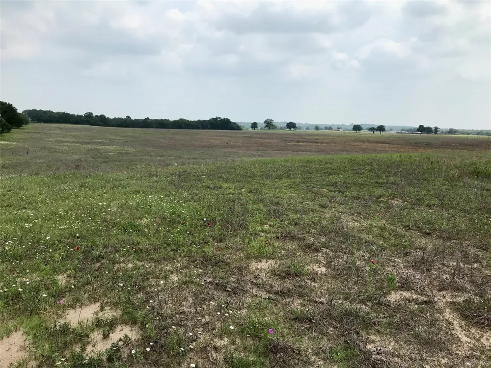 1672 Sayers Road #Tract 1 Bastrop, TX 78602