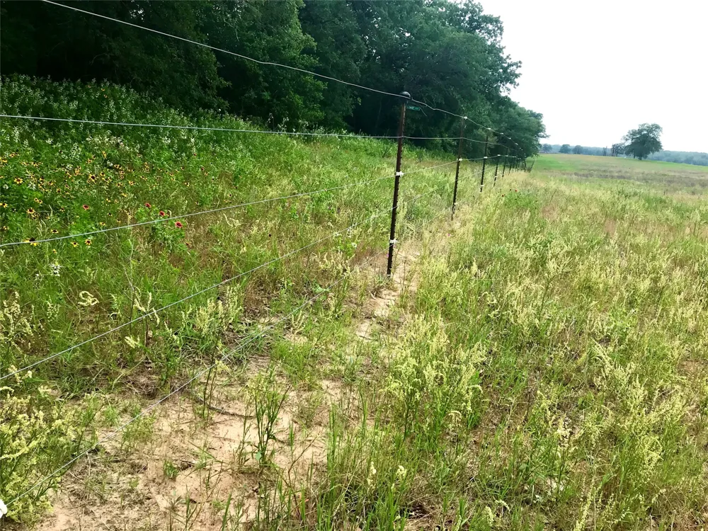 1672 Sayers Road #Tract 1 Bastrop, TX 78602