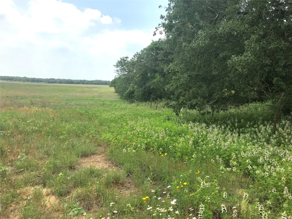 1672 Sayers Road #Tract 1 Bastrop, TX 78602