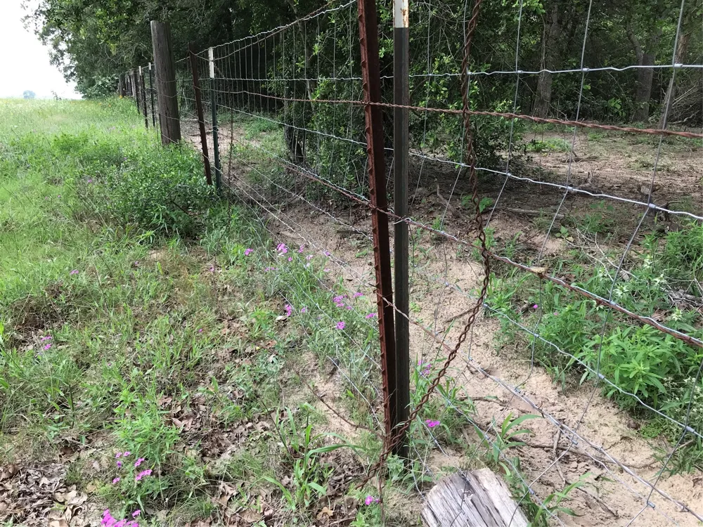 1672 Sayers Road #Tract 1 Bastrop, TX 78602