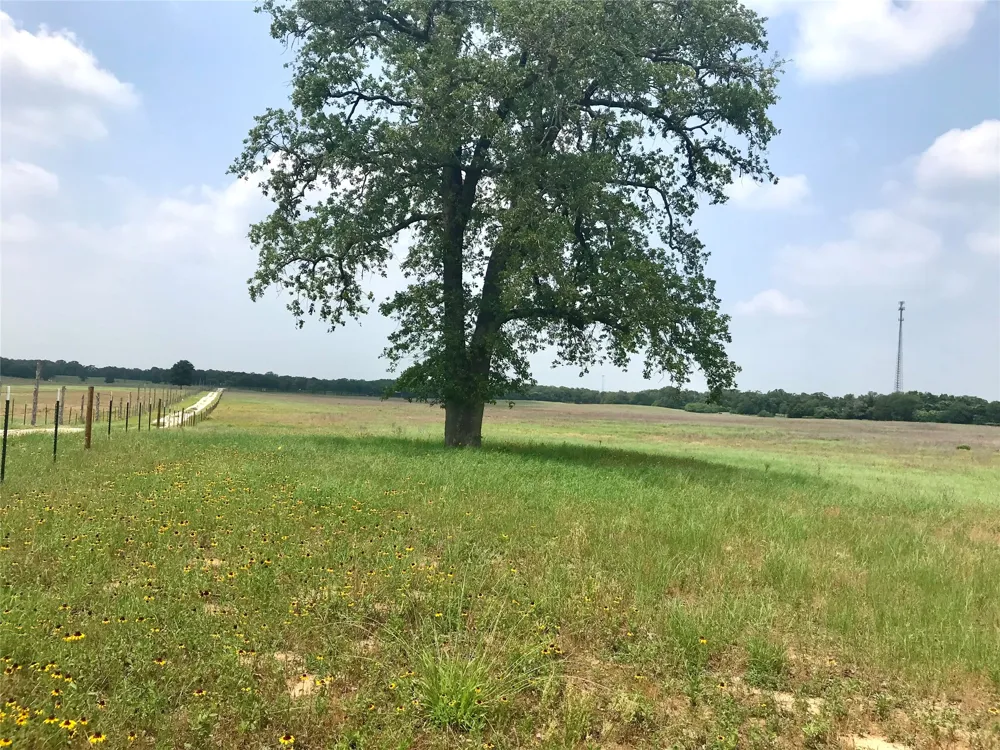 1672 Sayers Road #Tract 1 Bastrop, TX 78602