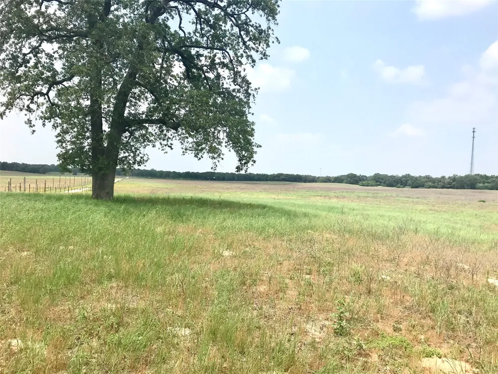 1672 Sayers Road #Tract 1 Bastrop, TX 78602