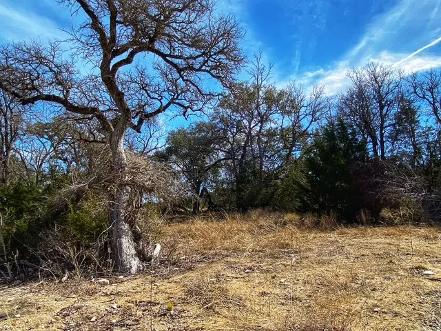 County Road 2699 Goldthwaite, TX 76853