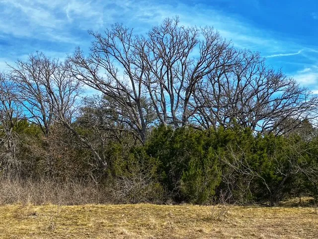 County Road 2699 Goldthwaite, TX 76853