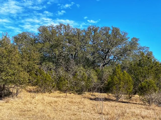 County Road 2699 Goldthwaite, TX 76853