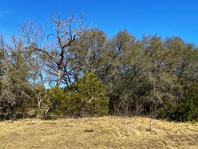 County Road 2699 Goldthwaite, TX 76853