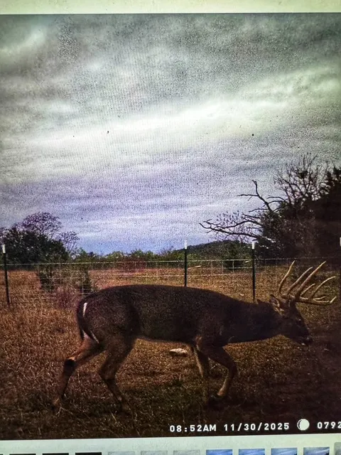 County Road 2699 Goldthwaite, TX 76853