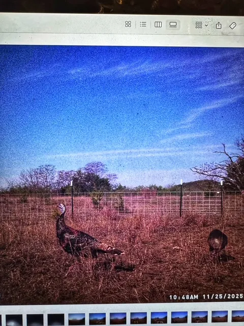 County Road 2699 Goldthwaite, TX 76853