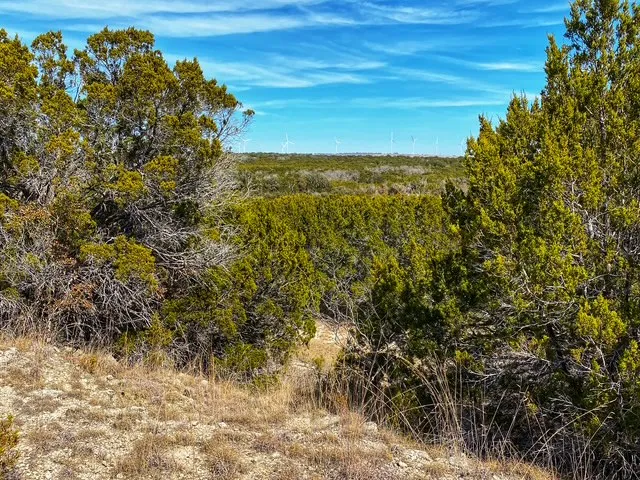 County Road 2699 Goldthwaite, TX 76853