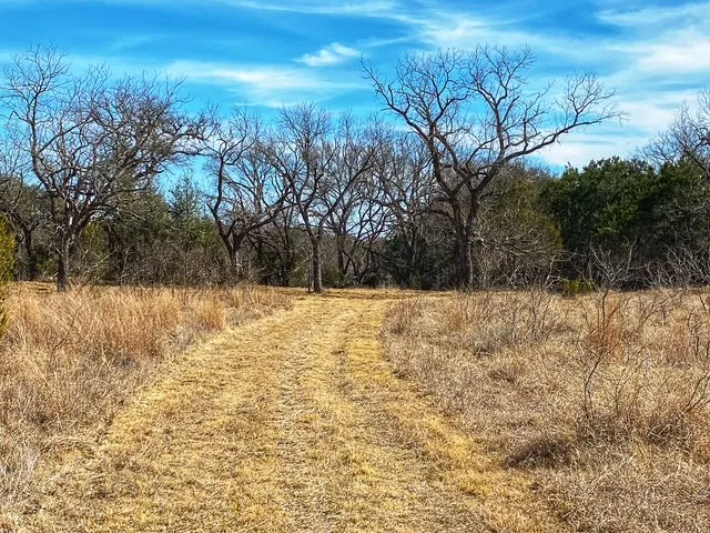 County Road 2699 Goldthwaite, TX 76853