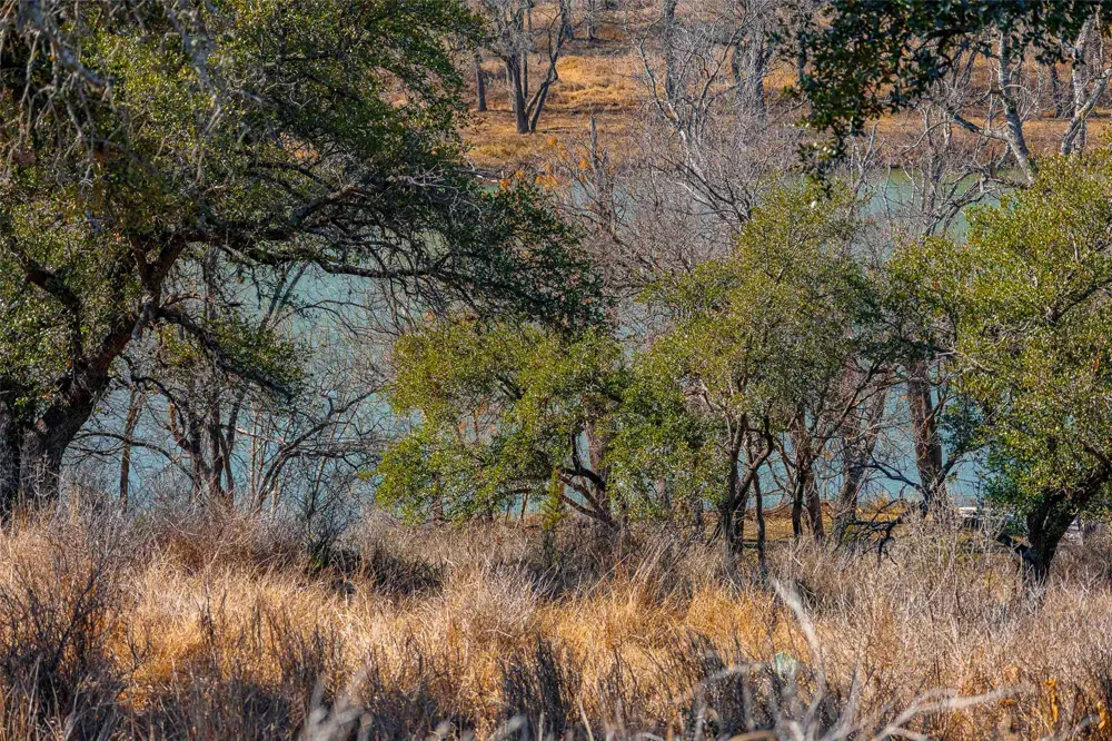 River Place Johnson City, TX 78636