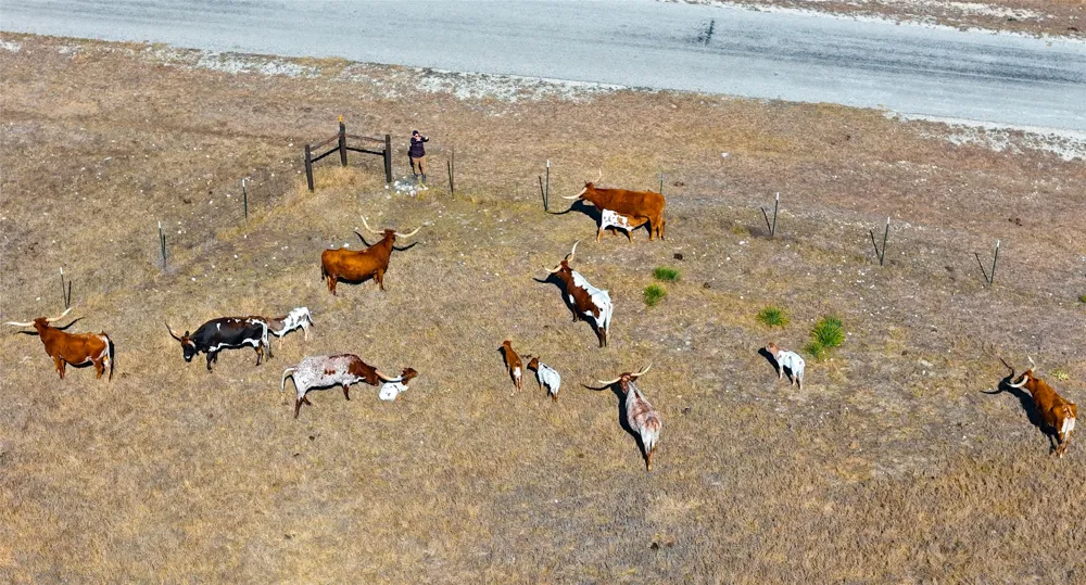 Lipan Apache Run Blanco, TX 78606