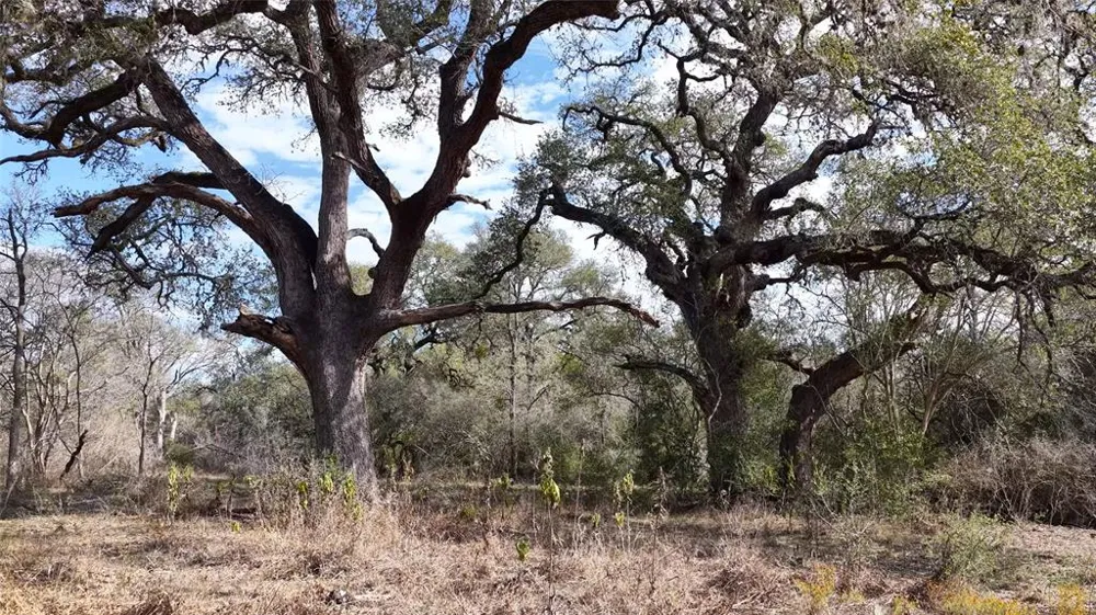 256 Greasy Bend Road Smithville, TX 78957