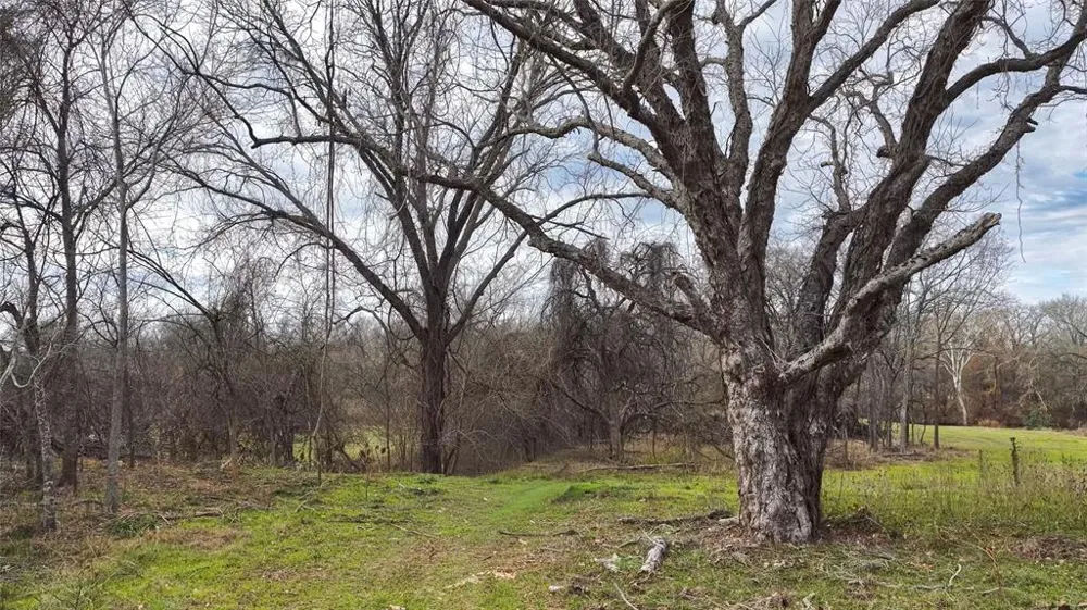 256 Greasy Bend Road Smithville, TX 78957